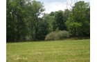 Property photo 10 - 146+/- Acres Offered in 4 Tracts