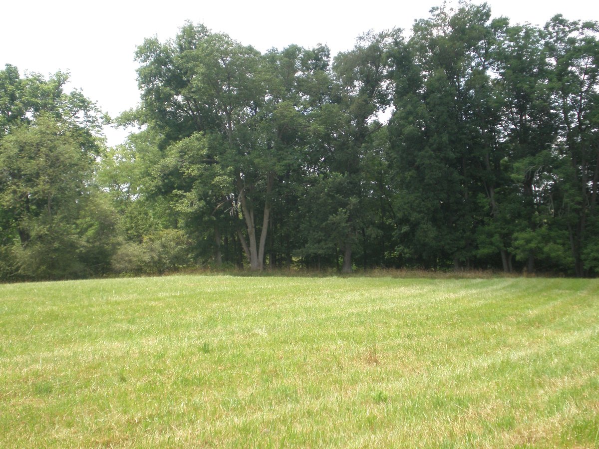 Property photo 12 - 146+/- Acres Offered in 4 Tracts