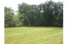 Property photo 12 - 146+/- Acres Offered in 4 Tracts