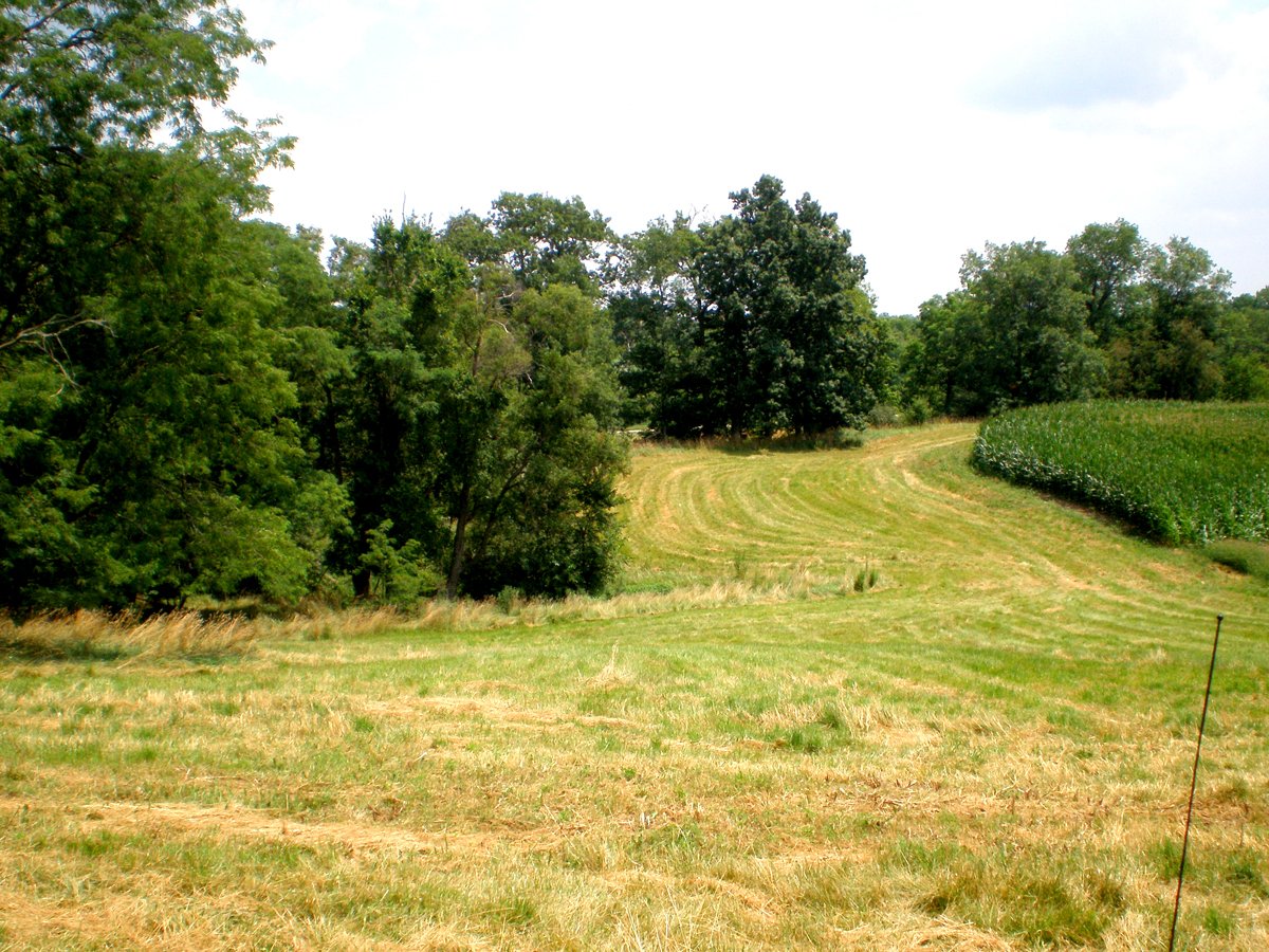 Property photo 14 - 146+/- Acres Offered in 4 Tracts