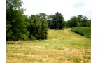 Property photo 14 - 146+/- Acres Offered in 4 Tracts