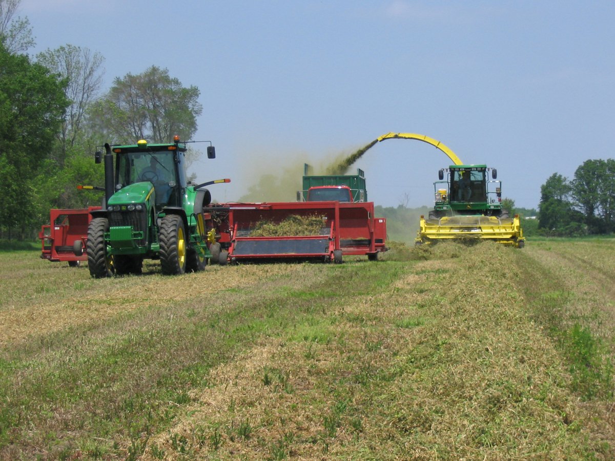Property photo 56 - Moody Farms Equipment Auction