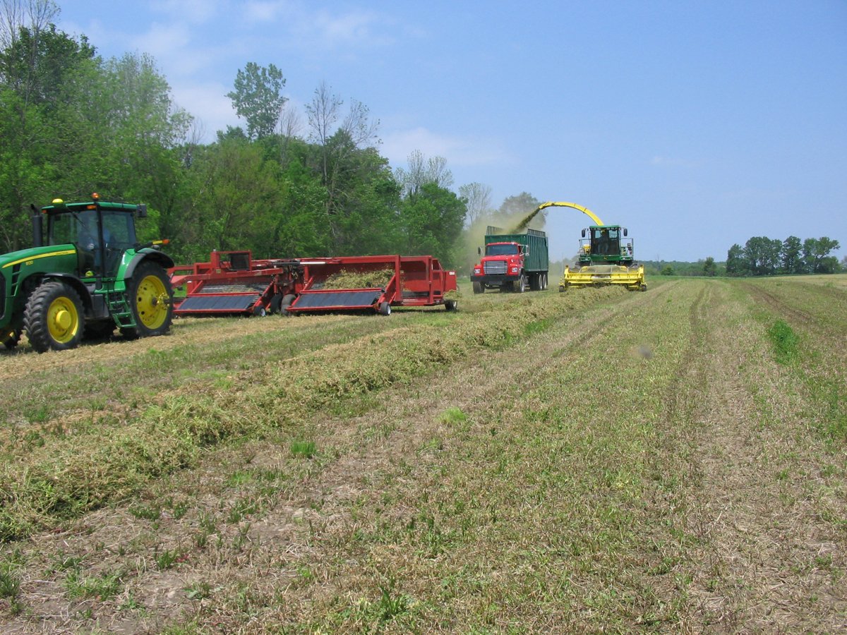 Property photo 36 - Moody Farms Equipment Auction