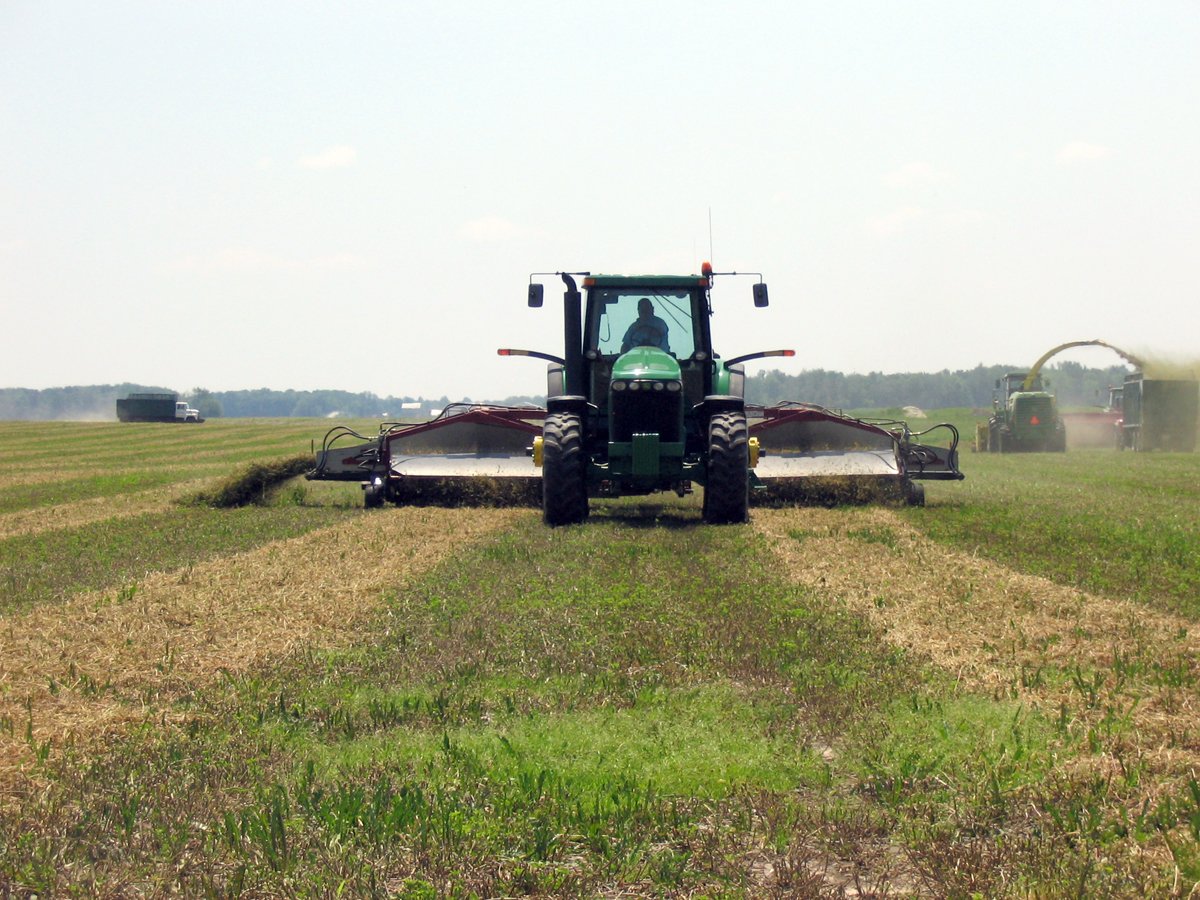 Property photo 59 - Moody Farms Equipment Auction
