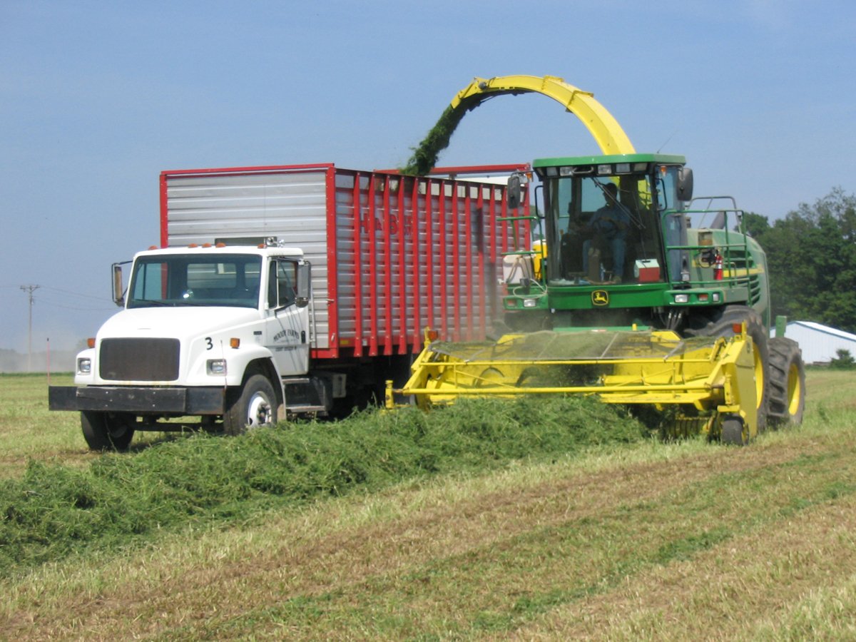Property photo 33 - Moody Farms Equipment Auction