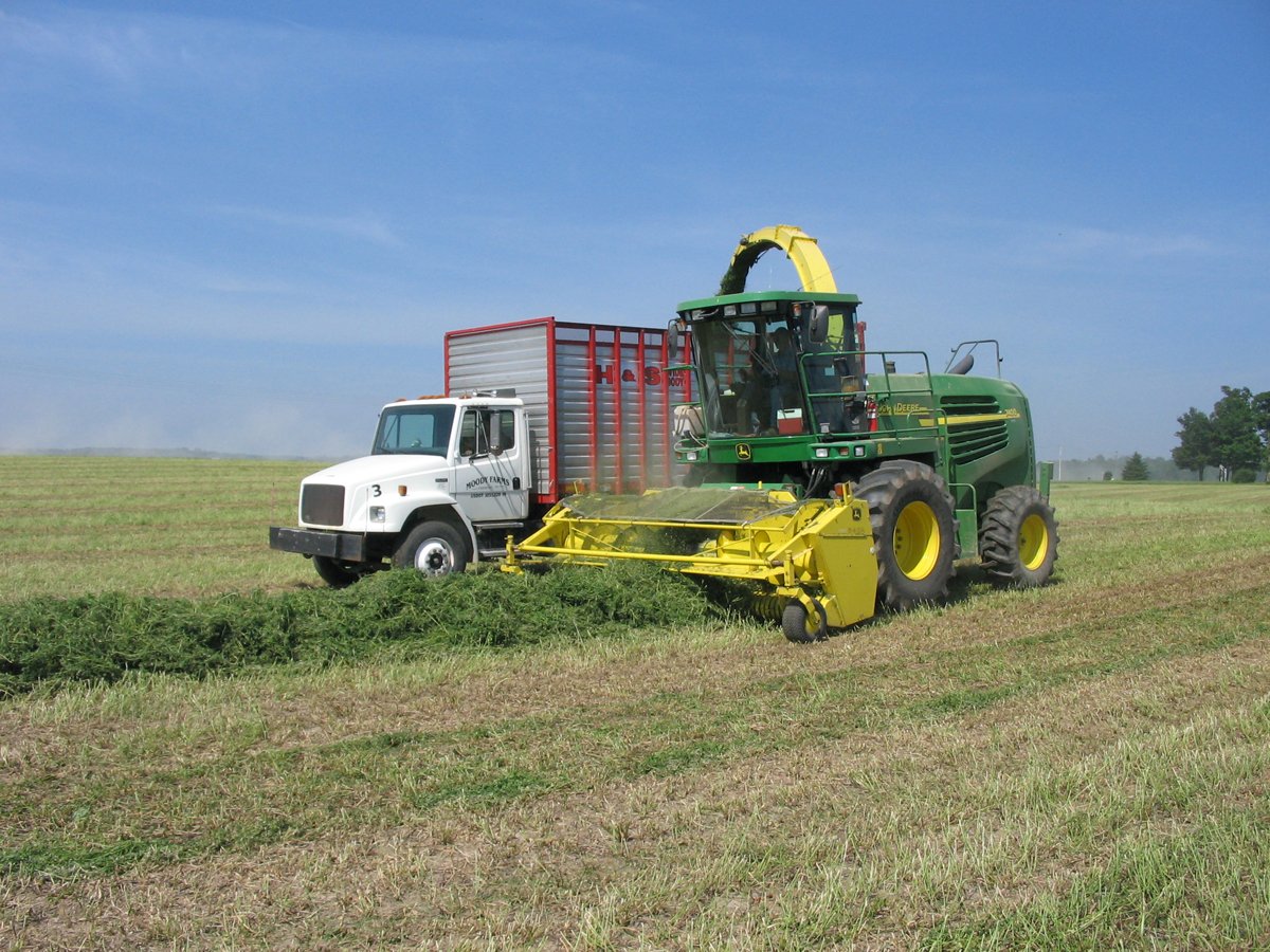 Property photo 19 - Moody Farms Equipment Auction