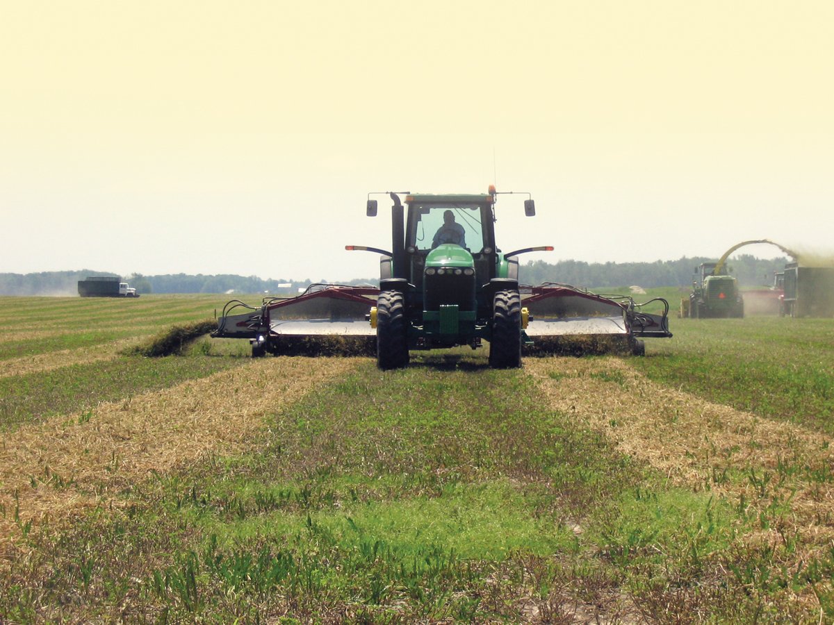 Property photo 55 - Moody Farms Equipment Auction