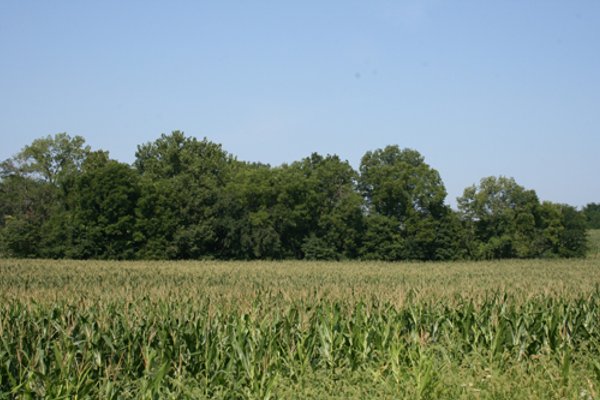 100 Acres Offered in 7 Tracts
