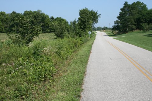 Property photo 4 - 100 Acres Offered in 7 Tracts