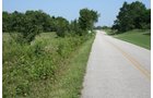 Property photo 4 - 100 Acres Offered in 7 Tracts
