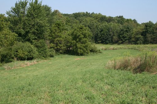 Property photo 13 - 100 Acres Offered in 7 Tracts
