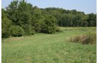 Property photo 13 - 100 Acres Offered in 7 Tracts