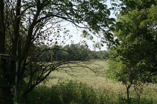 Property photo 12 - 100 Acres Offered in 7 Tracts