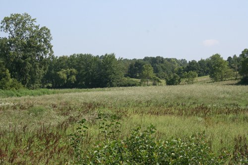 Property photo 8 - 100 Acres Offered in 7 Tracts
