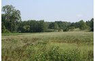 Property photo 8 - 100 Acres Offered in 7 Tracts