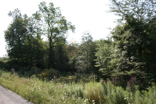 Property photo 10 - 100 Acres Offered in 7 Tracts