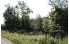 Property photo 10 - 100 Acres Offered in 7 Tracts