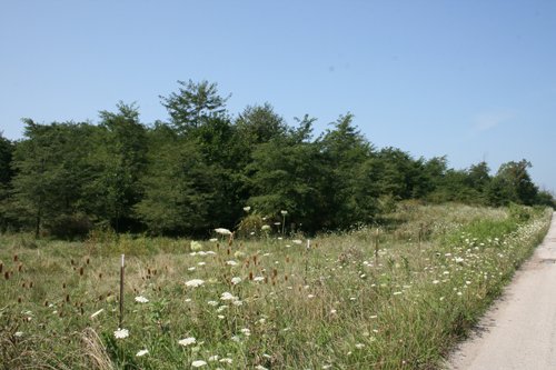 Property photo 9 - 100 Acres Offered in 7 Tracts