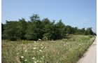 Property photo 9 - 100 Acres Offered in 7 Tracts