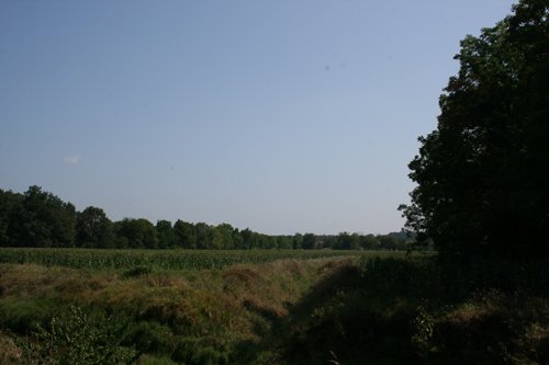 Property photo 11 - 100 Acres Offered in 7 Tracts