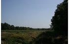Property photo 11 - 100 Acres Offered in 7 Tracts