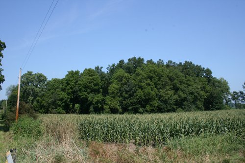 Property photo 2 - 100 Acres Offered in 7 Tracts
