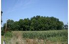 Property photo 2 - 100 Acres Offered in 7 Tracts
