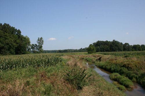 Property photo 6 - 100 Acres Offered in 7 Tracts