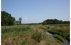 Property photo 6 - 100 Acres Offered in 7 Tracts