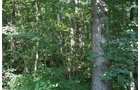 Property photo 14 - 100 Acres Offered in 7 Tracts