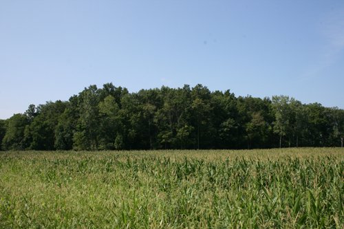Property photo 1 - 100 Acres Offered in 7 Tracts