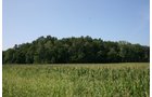 Property photo 1 - 100 Acres Offered in 7 Tracts