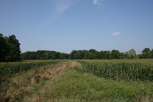 Property photo 7 - 100 Acres Offered in 7 Tracts