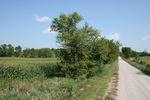 Property photo 3 - 100 Acres Offered in 7 Tracts