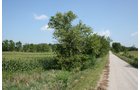 Property photo 3 - 100 Acres Offered in 7 Tracts