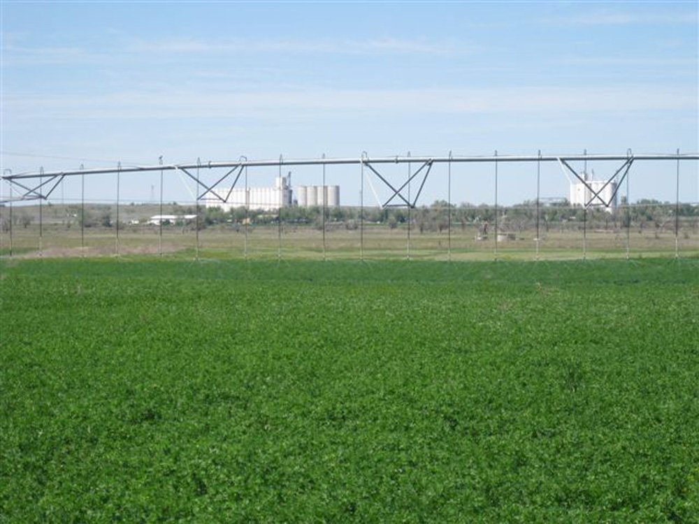 Property photo 11 - 3,352 Acres in 22 Land Tracts and 8 Mineral Tracts