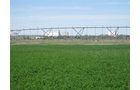 Property photo 11 - 3,352 Acres in 22 Land Tracts and 8 Mineral Tracts