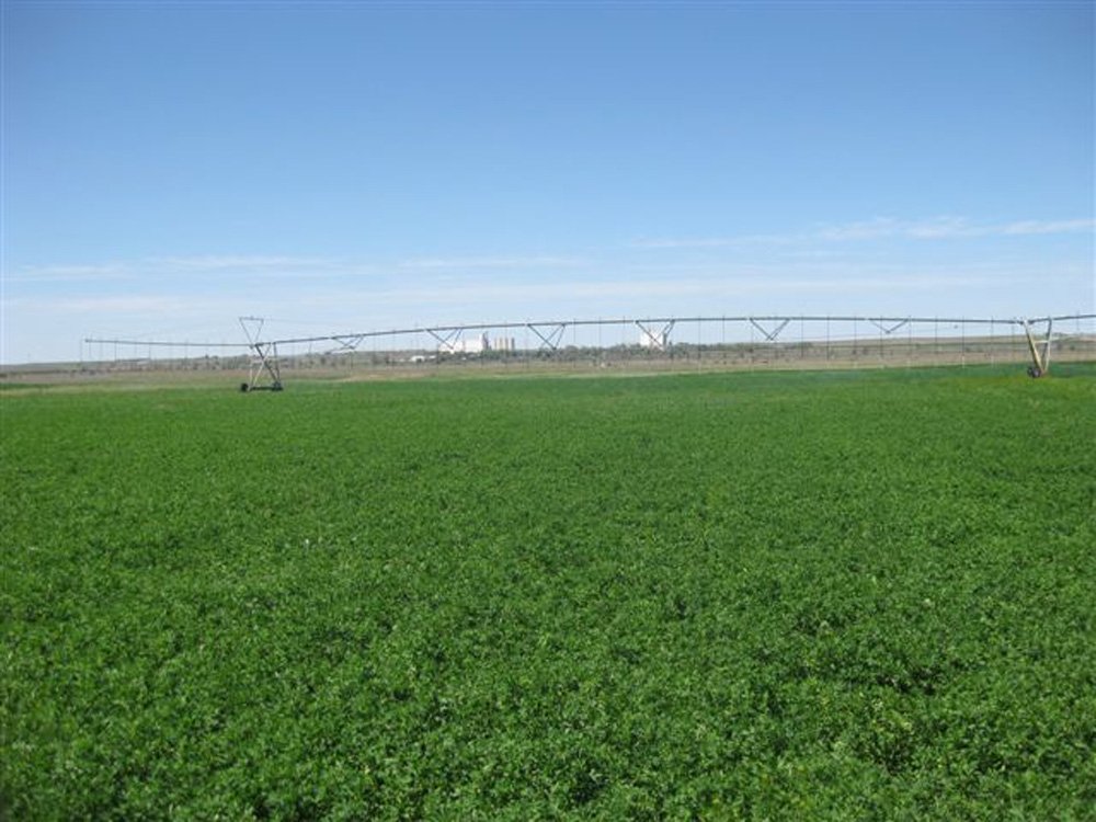 Property photo 25 - 3,352 Acres in 22 Land Tracts and 8 Mineral Tracts