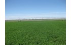 Property photo 25 - 3,352 Acres in 22 Land Tracts and 8 Mineral Tracts