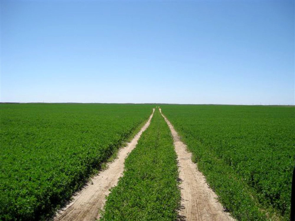 Property photo 3 - 3,352 Acres in 22 Land Tracts and 8 Mineral Tracts