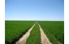 Property photo 3 - 3,352 Acres in 22 Land Tracts and 8 Mineral Tracts