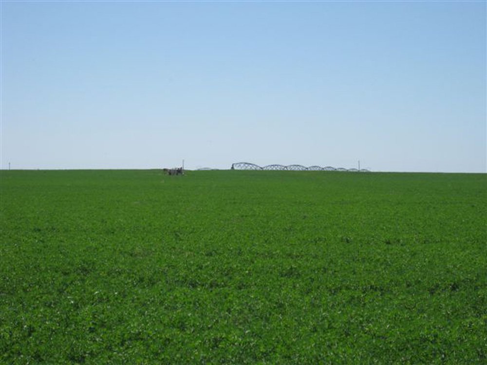 Property photo 28 - 3,352 Acres in 22 Land Tracts and 8 Mineral Tracts