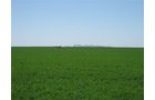 Property photo 28 - 3,352 Acres in 22 Land Tracts and 8 Mineral Tracts