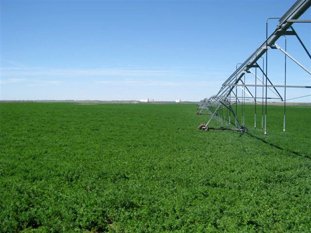 Property photo 23 - 3,352 Acres in 22 Land Tracts and 8 Mineral Tracts