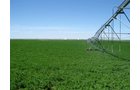 Property photo 23 - 3,352 Acres in 22 Land Tracts and 8 Mineral Tracts
