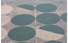Property photo 9 - 3,352 Acres in 22 Land Tracts and 8 Mineral Tracts