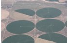 Property photo 8 - 3,352 Acres in 22 Land Tracts and 8 Mineral Tracts