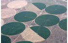 Property photo 16 - 3,352 Acres in 22 Land Tracts and 8 Mineral Tracts
