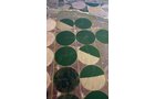 Property photo 2 - 3,352 Acres in 22 Land Tracts and 8 Mineral Tracts