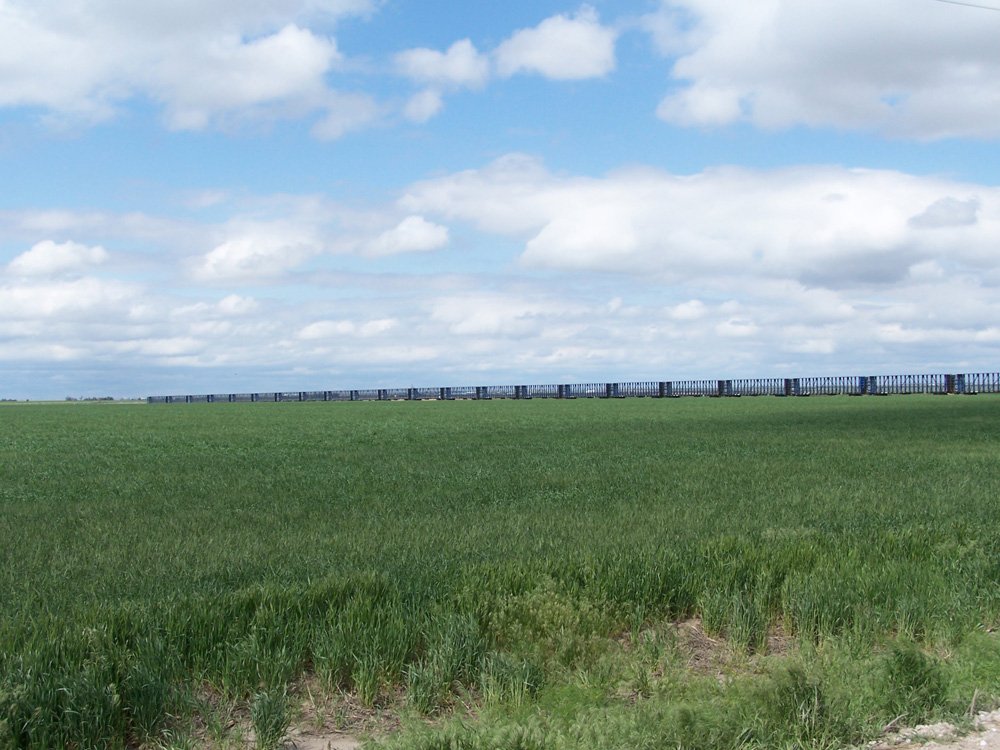 Property photo 29 - 3,352 Acres in 22 Land Tracts and 8 Mineral Tracts